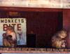 Old Family Picture Book 015.jpg